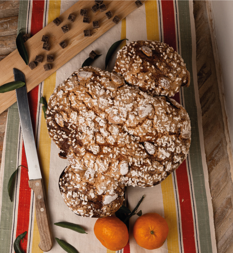 Colomba artigianale con clementine, arancia e cioccolato